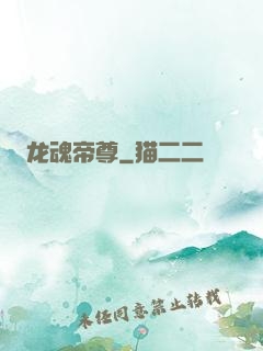 龙魂帝尊