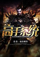 高手系统