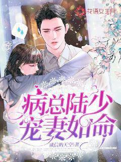 病总陆少宠妻如命