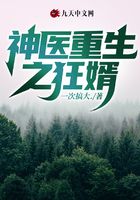 神医重生之狂婿