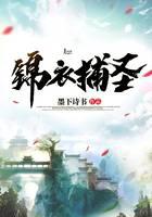 锦衣捕圣